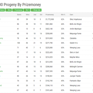 Greyhound Auctions Australia Australia's No.1 Greyhound Marketplace Aston Dee Bee Top Progeny