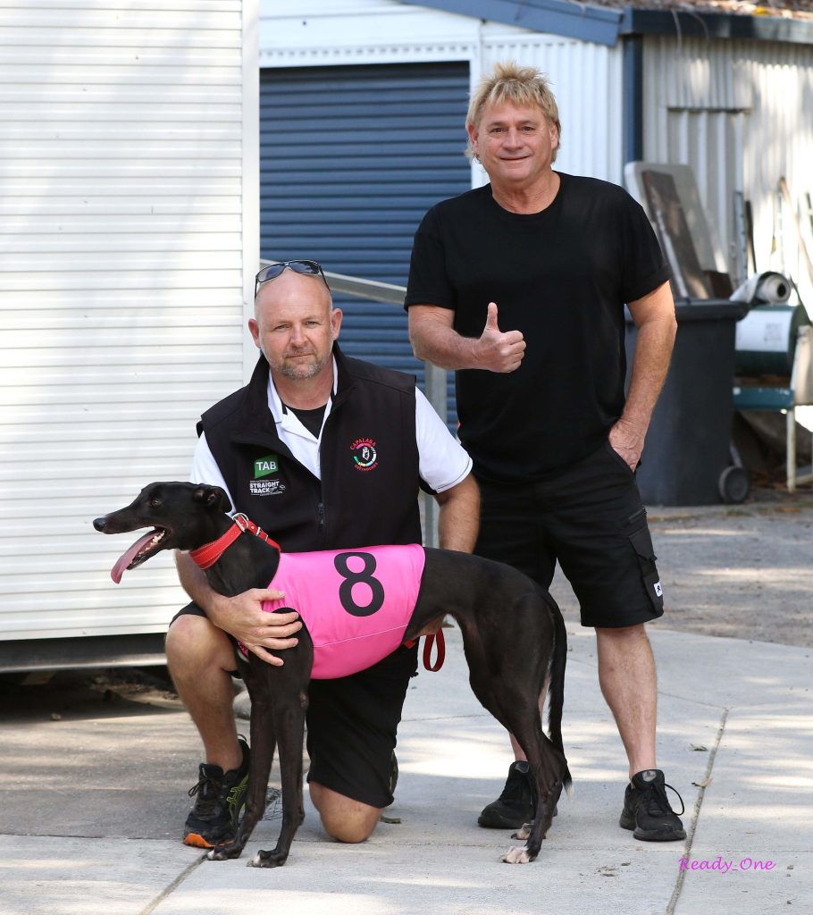 Greyhound Auctions Australia Australia's No.1 Greyhound Marketplace Erin Capalaba Greyhounds