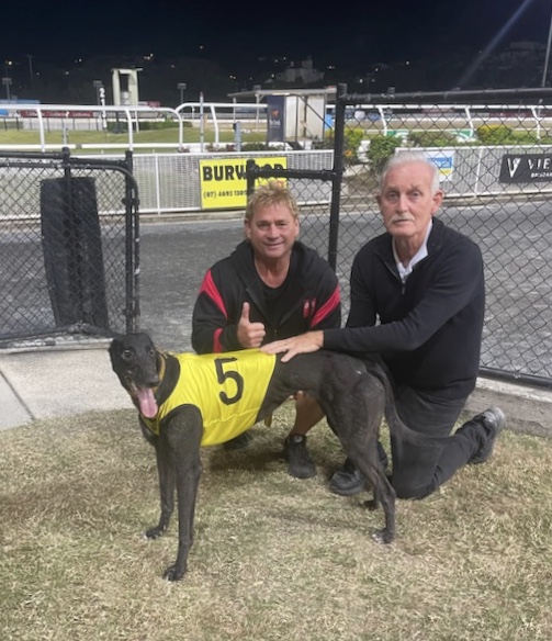 Greyhound Auctions Australia Australia's No.1 Greyhound Marketplace Tony Zammit Photos 2