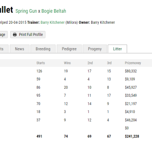 Greyhound Auctions Australia Australia's No.1 Greyhound Marketplace Bogie Bullet Litter